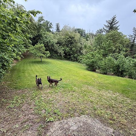 Bnb Dog And Friend Rocchetta Tanaro Εξωτερικό φωτογραφία